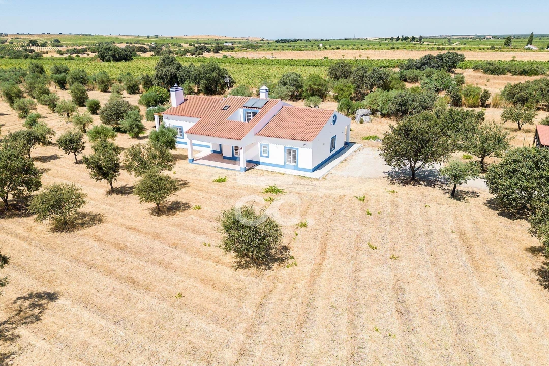 Quinta T4 para Venda em Reguengos de Monsaraz Foto 53