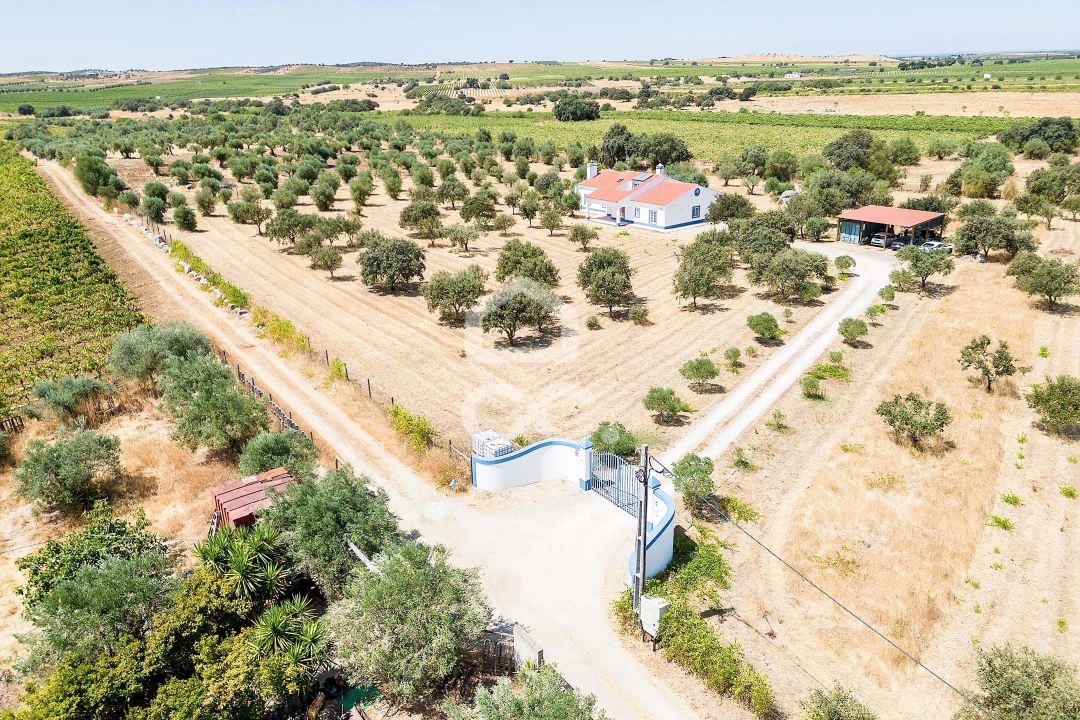 Quinta T4 para Venda em Reguengos de Monsaraz Foto 58