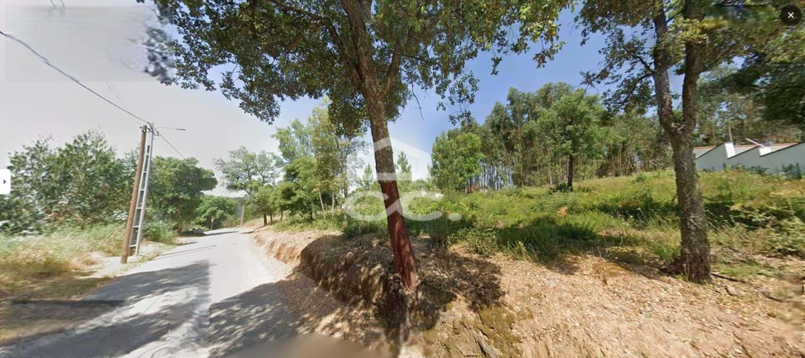 Terreno para Venda em Figueiró dos Vinhos e Bairradas Foto 2