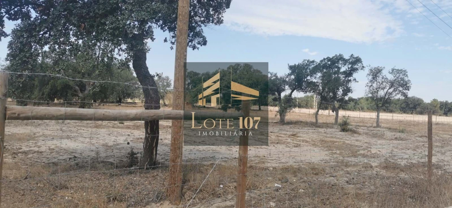 Terreno para Venda em Alhos Vedros Foto 11