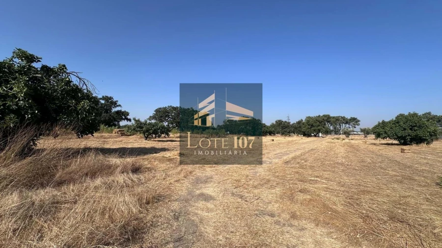 Terreno para Venda em Alhos Vedros Foto 18