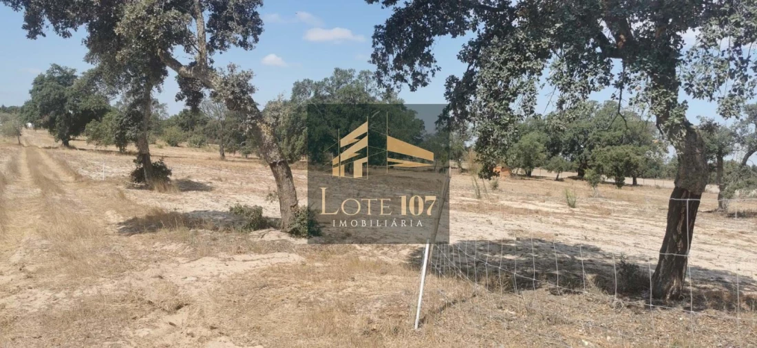 Terreno para Venda em Alhos Vedros Foto 17