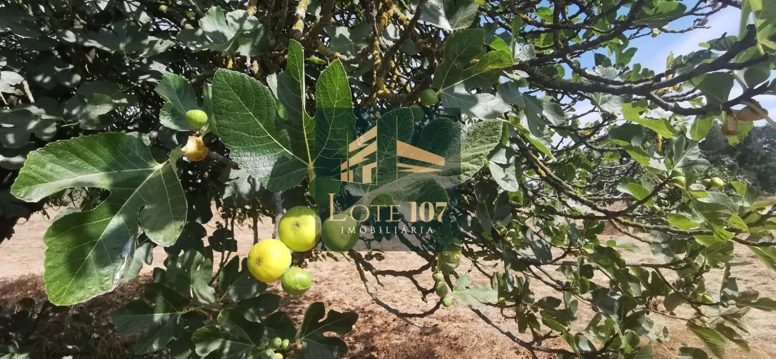 Terreno para Venda em Alhos Vedros Foto 12