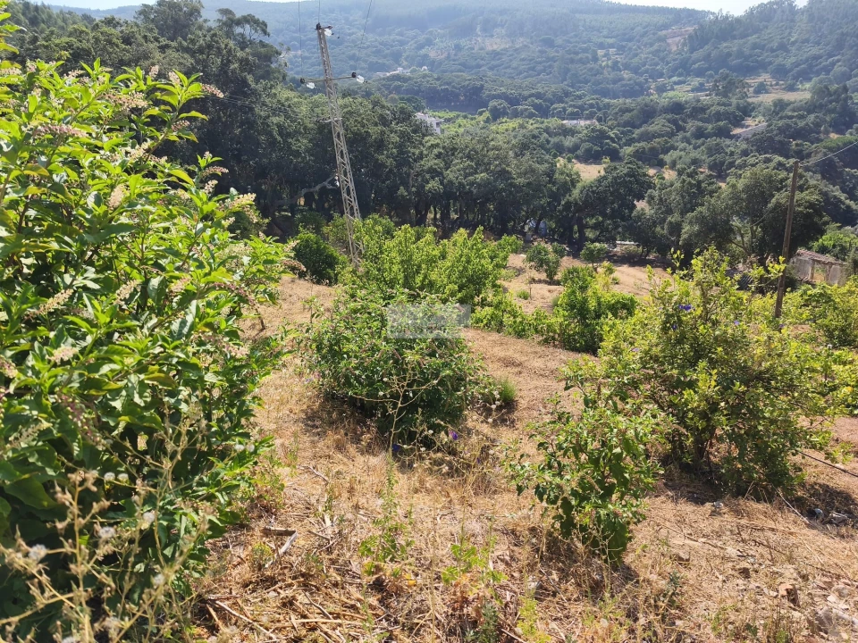 Terreno para Venda em Marmelete Foto 17