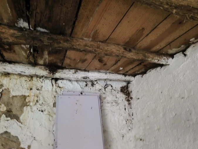 Terreno para Venda em Marmelete Foto 12