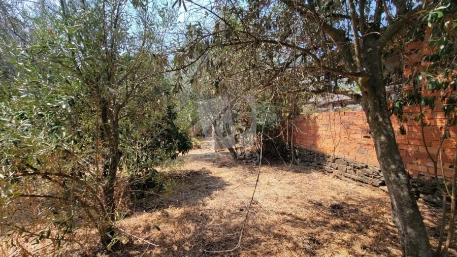 Moradia T3 para Venda em Santo Andre das Tojeiras Foto 29