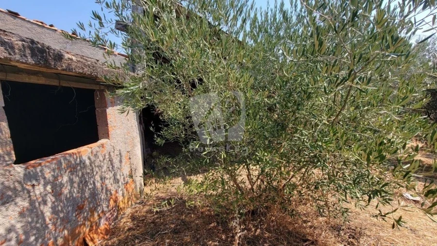 Moradia T3 para Venda em Santo Andre das Tojeiras Foto 24