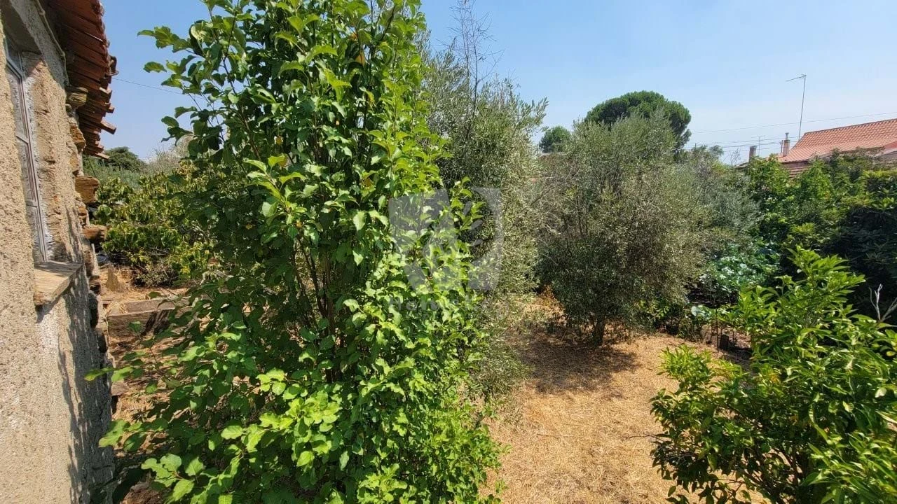 Moradia T3 para Venda em Santo Andre das Tojeiras Foto 11