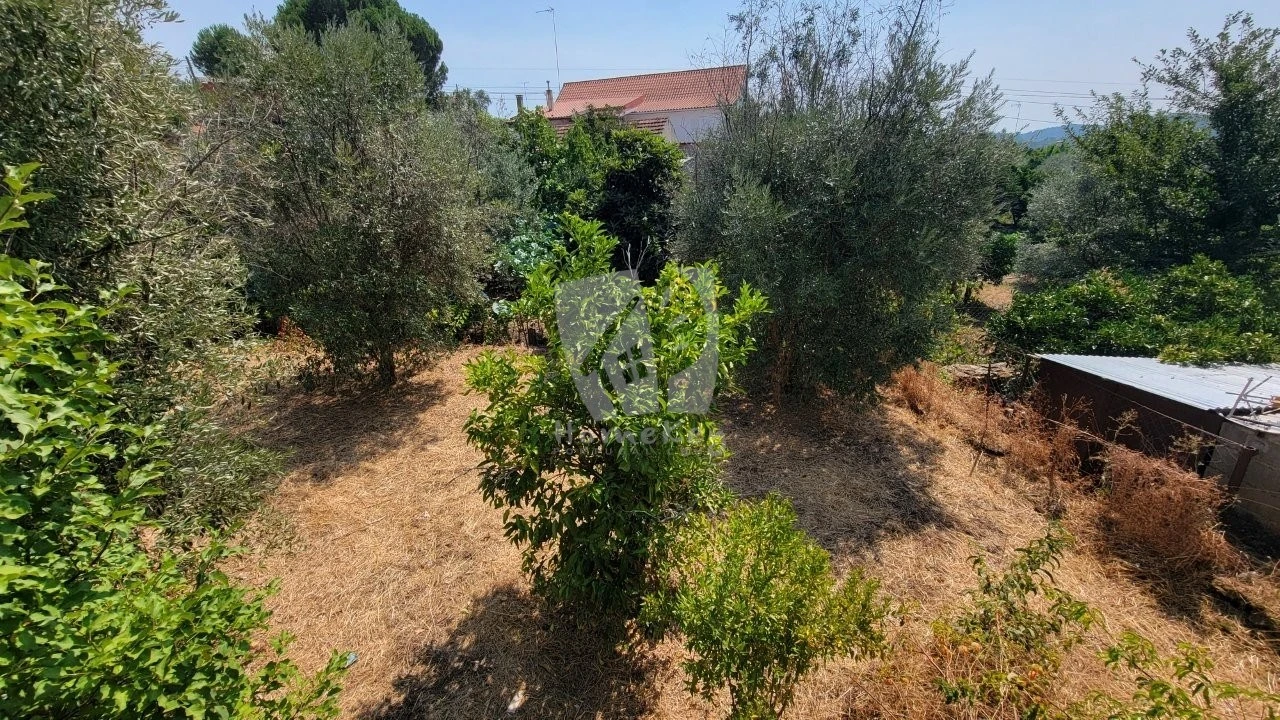 Moradia T3 para Venda em Santo Andre das Tojeiras Foto 12