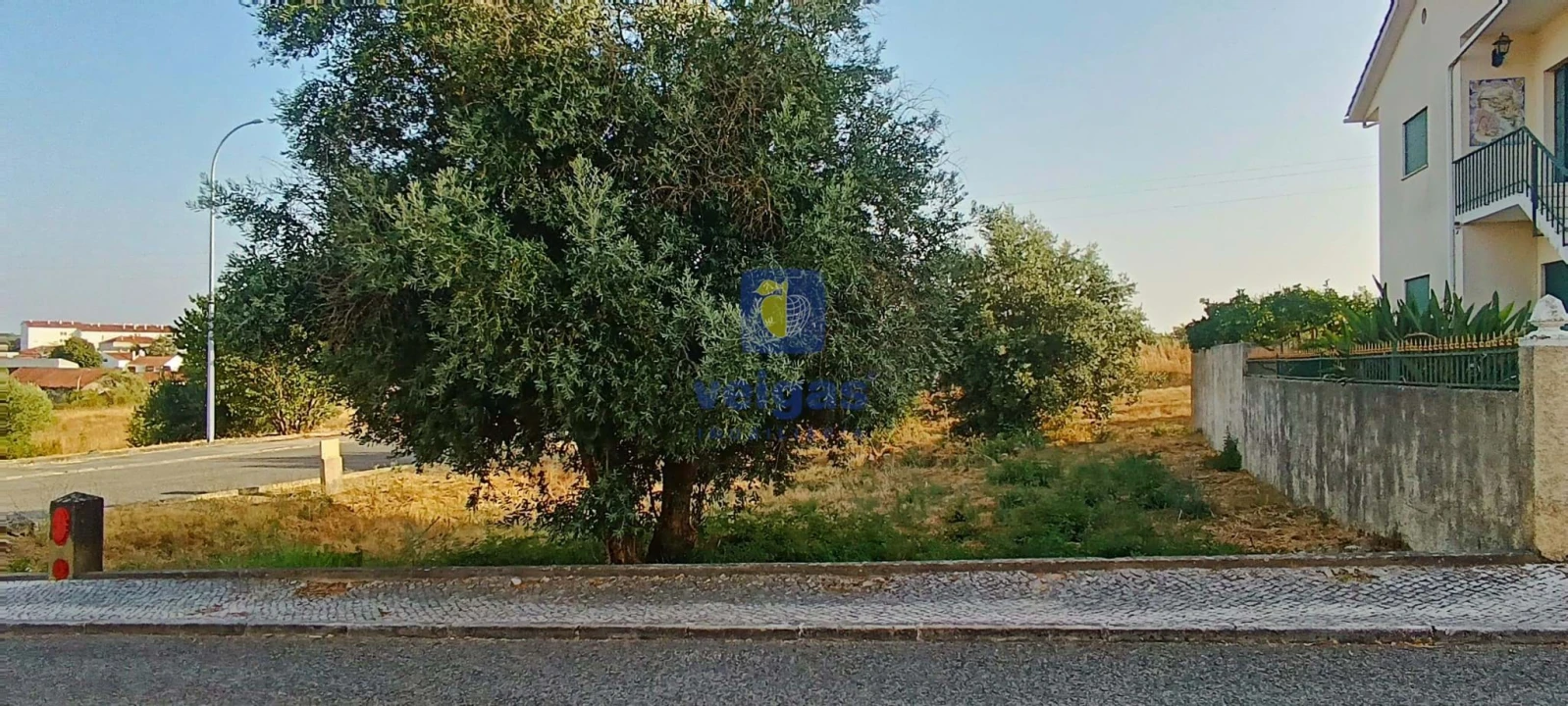 Terreno para Venda em Alcanena e Vila Moreira Foto 13