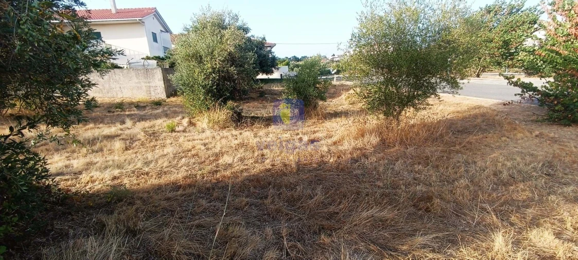 Terreno para Venda em Alcanena e Vila Moreira Foto 5