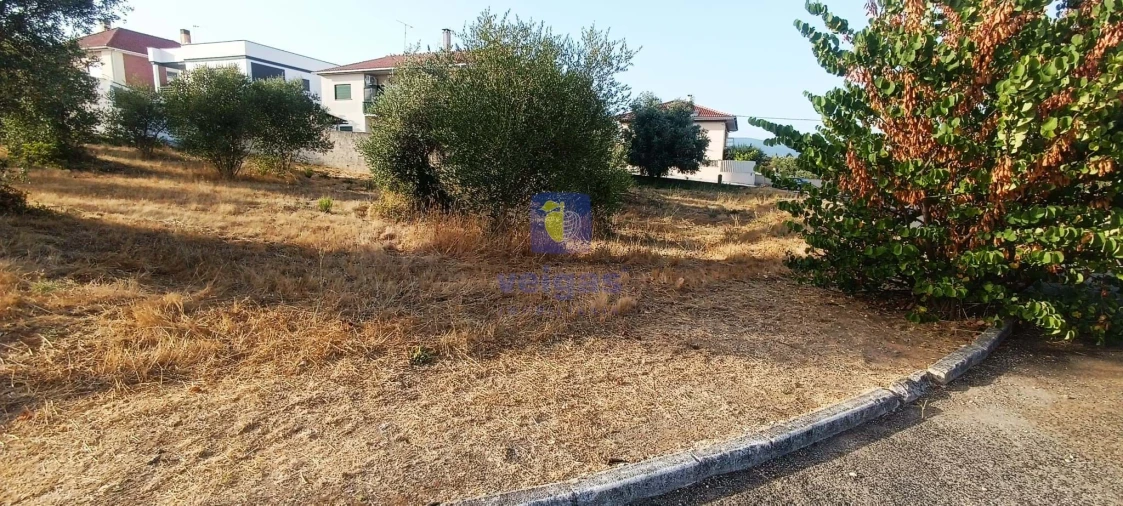 Terreno para Venda em Alcanena e Vila Moreira Foto 11