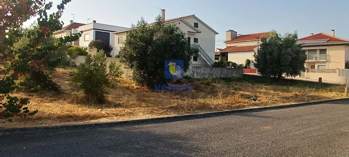 Terreno para Venda em Alcanena e Vila Moreira Foto 8