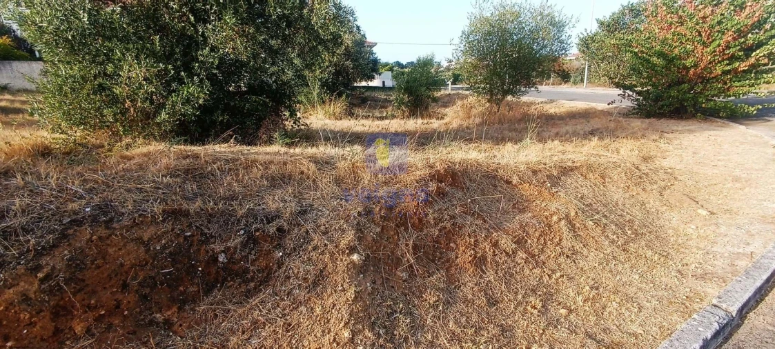 Terreno para Venda em Alcanena e Vila Moreira Foto 4
