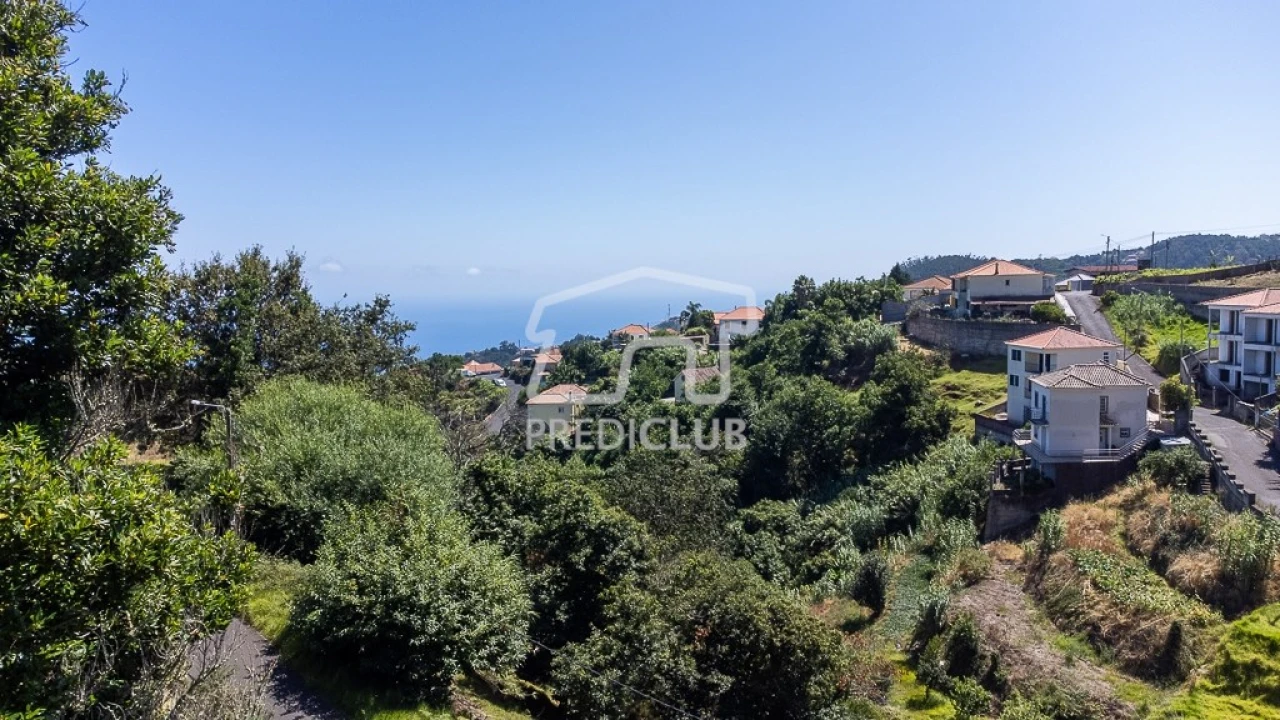 Terreno Agricola ou Rústico para Venda em Gaula Foto 8