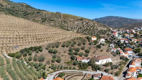 Quinta T6 para Venda em Vale de Figueira