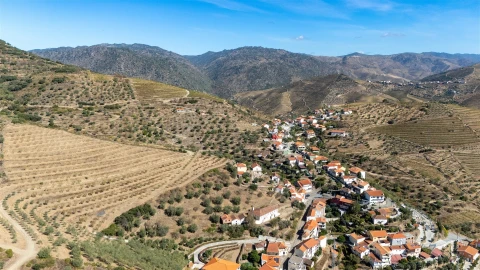 Quinta T6 para Venda em Vale de Figueira