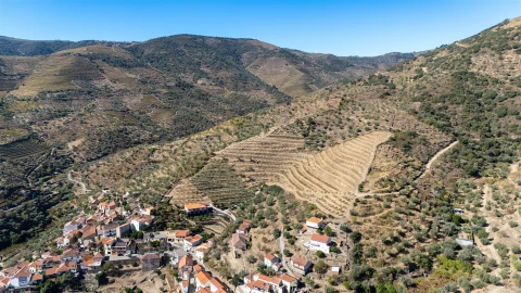 Quinta T6 para Venda em Vale de Figueira