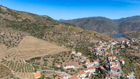 Quinta T6 para Venda em Vale de Figueira