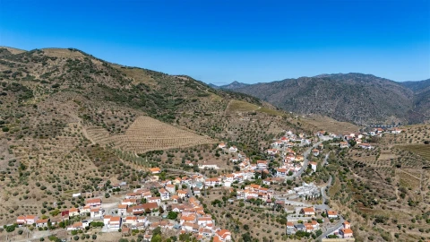 Quinta T6 para Venda em Vale de Figueira