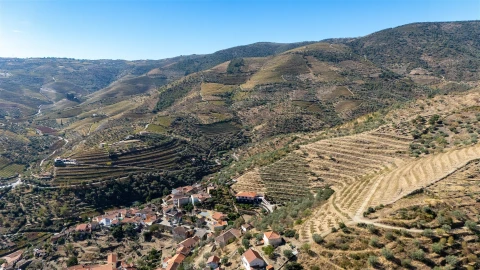 Quinta T6 para Venda em Vale de Figueira