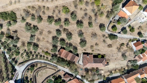 Quinta T6 para Venda em Vale de Figueira