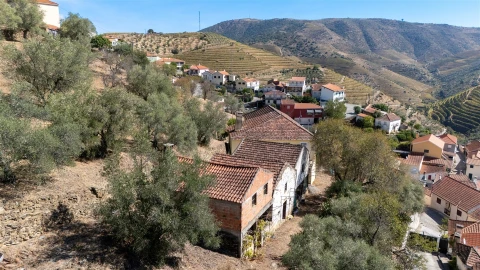 Quinta T6 para Venda em Vale de Figueira