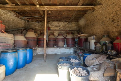 Quinta T6 para Venda em Vale de Figueira