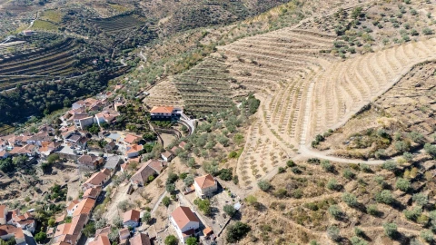 Quinta T6 para Venda em Vale de Figueira