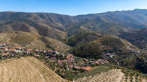Quinta T6 para Venda em Vale de Figueira