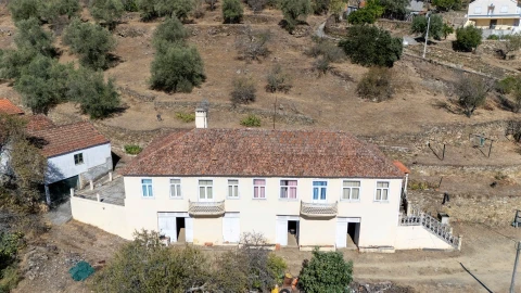 Quinta T6 para Venda em Vale de Figueira