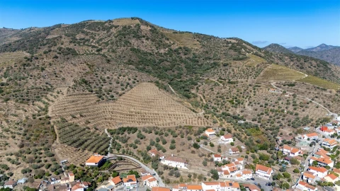 Quinta T6 para Venda em Vale de Figueira
