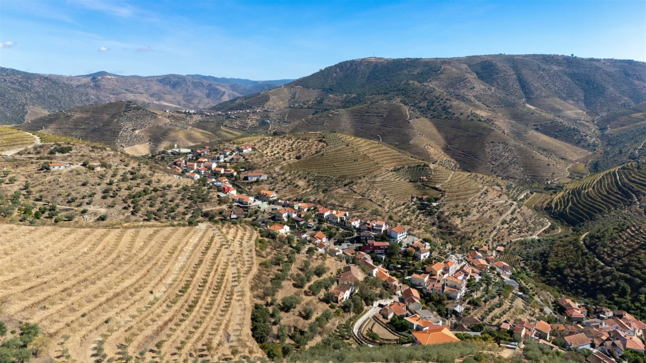 Quinta T6 para Venda em Vale de Figueira Foto 7