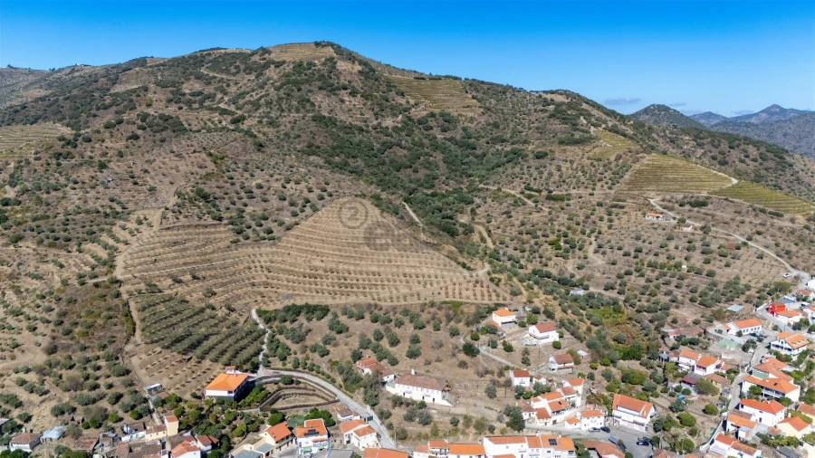 Quinta T6 para Venda em Vale de Figueira Foto 4