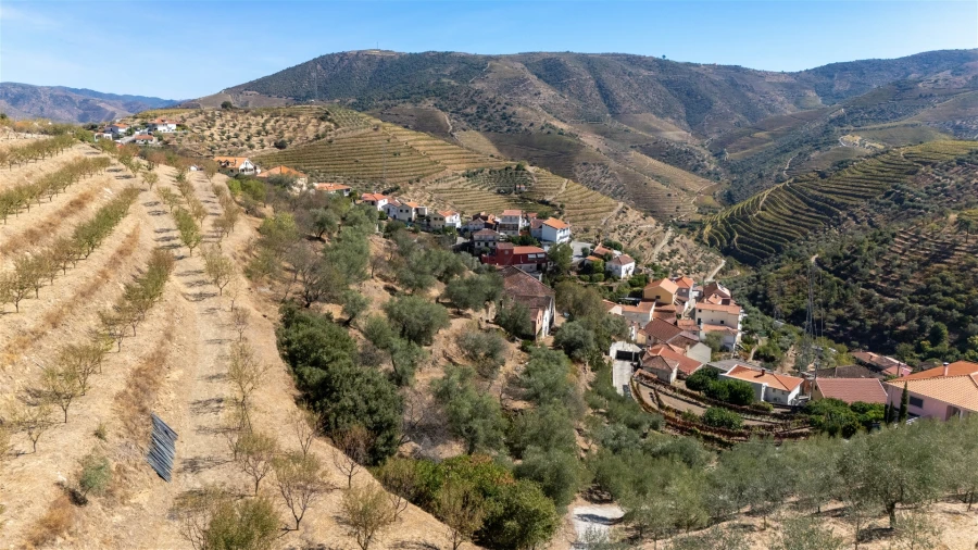 Quinta T6 para Venda em Vale de Figueira Foto 23