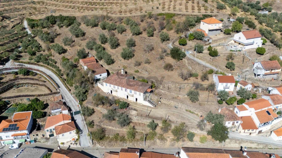 Quinta T6 para Venda em Vale de Figueira Foto 14