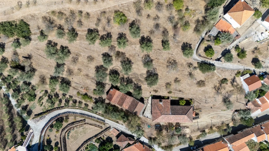 Quinta T6 para Venda em Vale de Figueira Foto 16