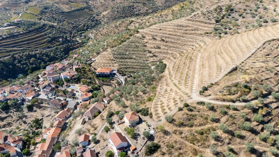 Quinta T6 para Venda em Vale de Figueira Foto 10