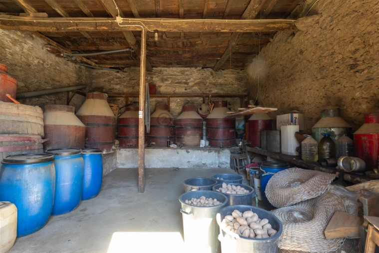 Quinta T6 para Venda em Vale de Figueira Foto 45