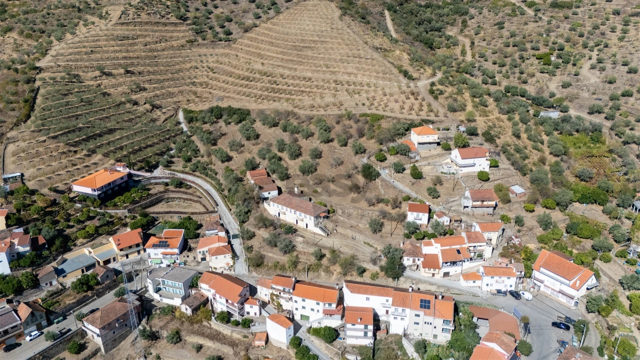 Quinta T6 para Venda em Vale de Figueira Foto 13