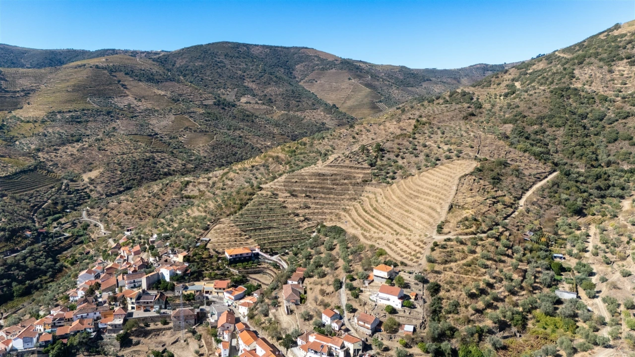 Quinta T6 para Venda em Vale de Figueira Foto 12