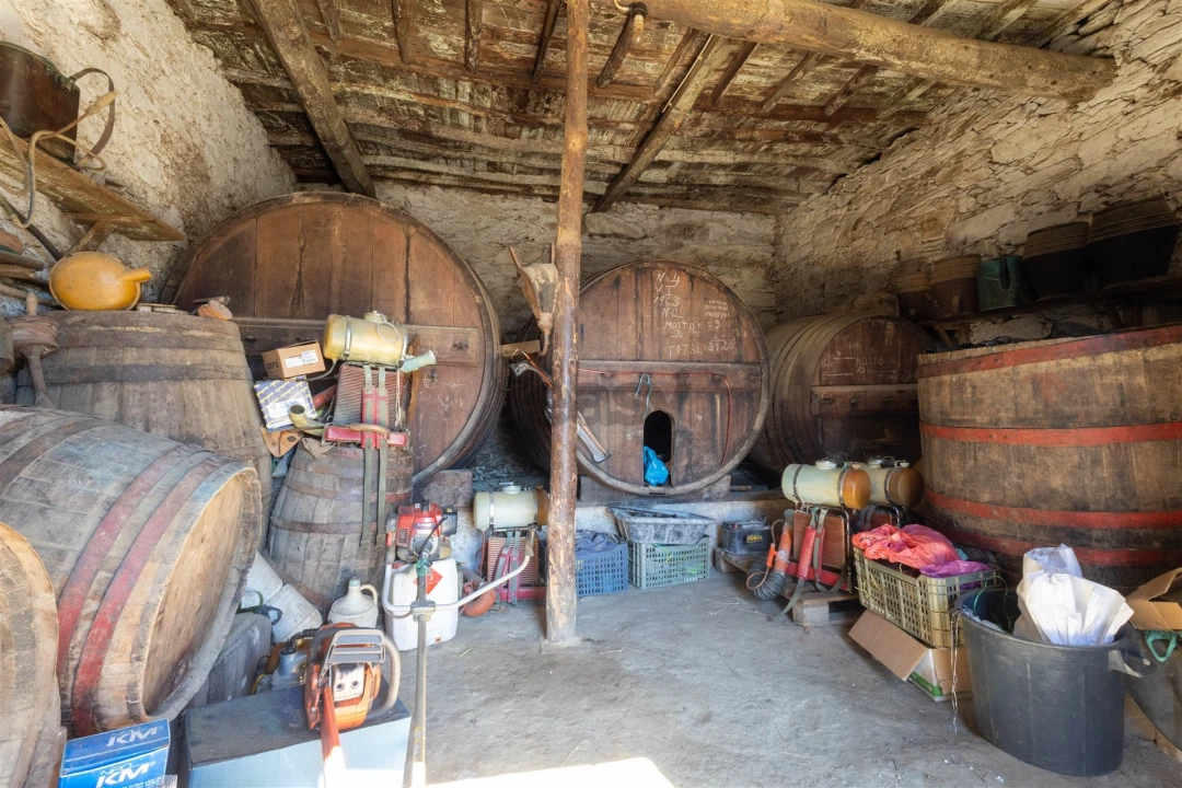 Quinta T6 para Venda em Vale de Figueira Foto 43