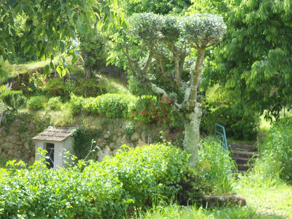 Quinta T4 para Venda em Penhalonga e Paços de Gaiolo Foto 21