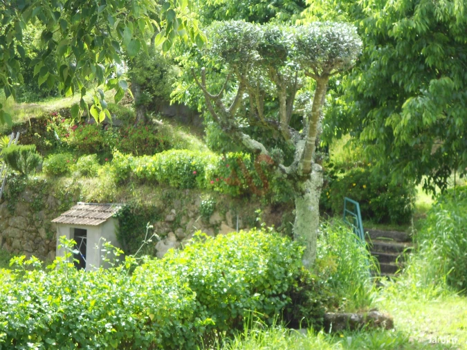 Quinta T4 para Venda em Penhalonga e Paços de Gaiolo Foto 21