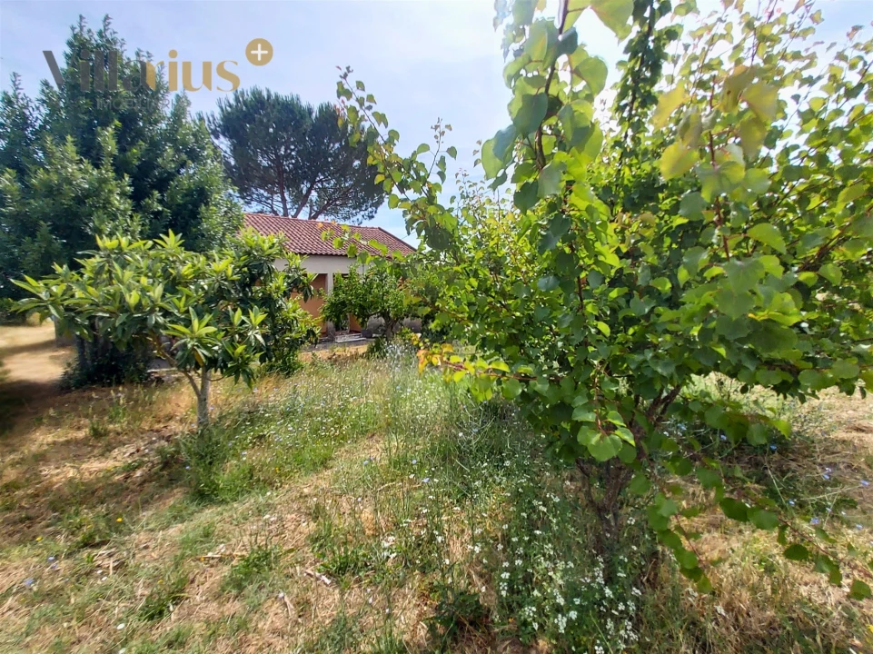 Moradia T2 para Venda em Madalena e Beselga Foto 9