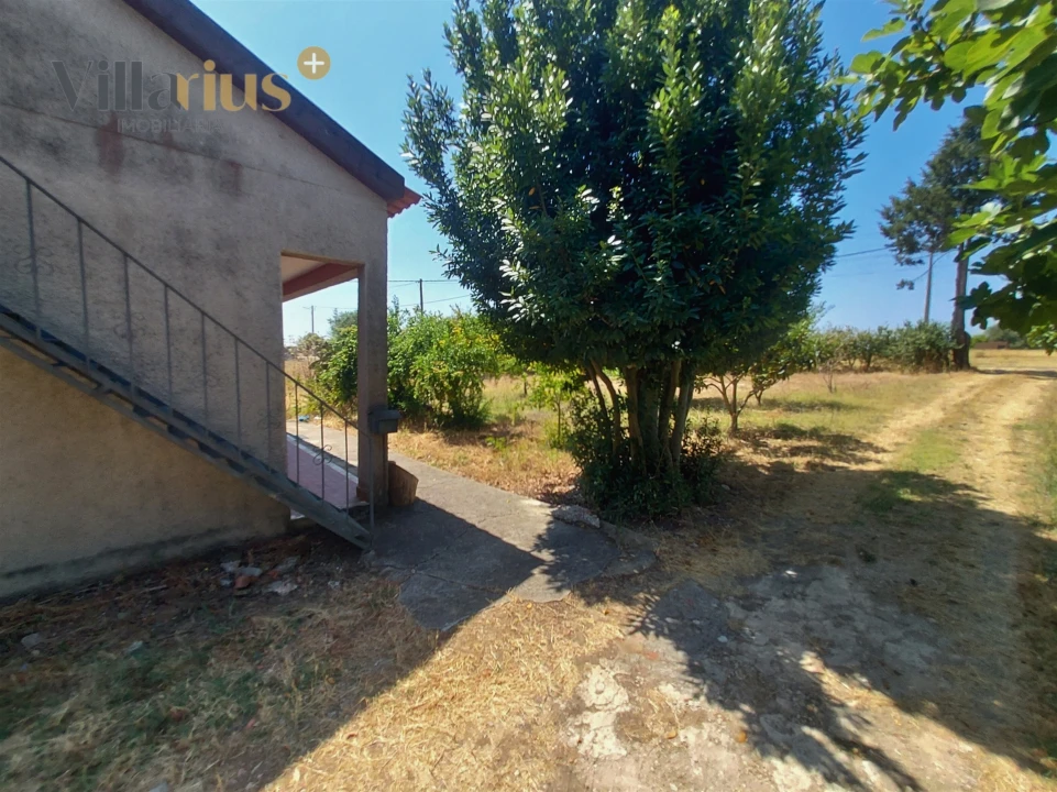 Moradia T2 para Venda em Madalena e Beselga Foto 33