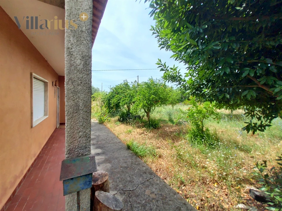 Moradia T2 para Venda em Madalena e Beselga Foto 7