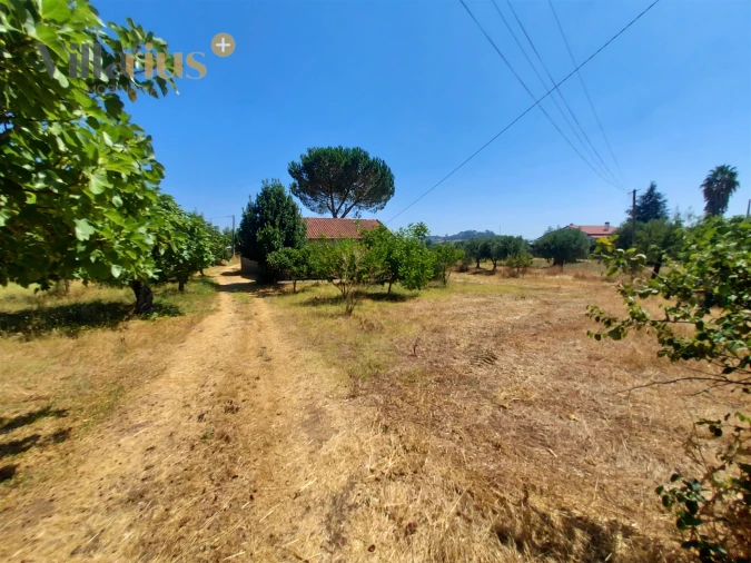 Moradia T2 para Venda em Madalena e Beselga Foto 2