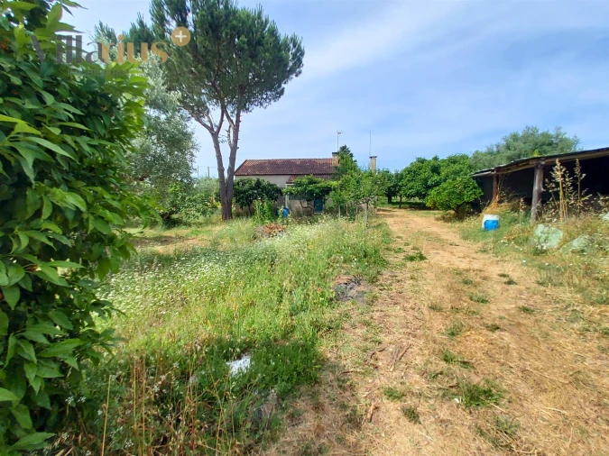 Moradia T2 para Venda em Madalena e Beselga Foto 17