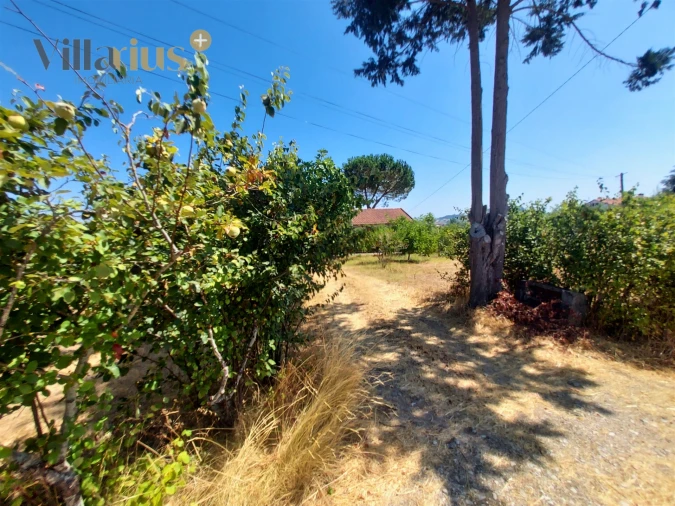 Moradia T2 para Venda em Madalena e Beselga Foto 36